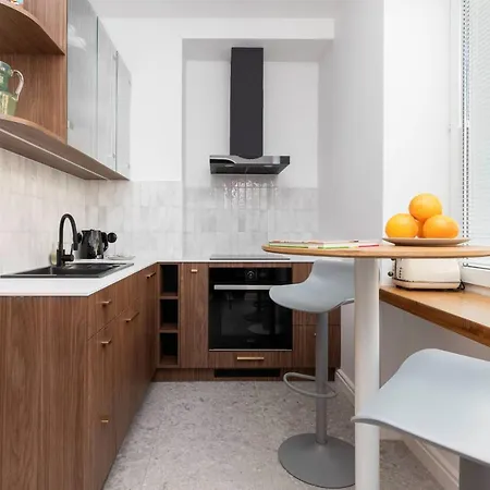 Apartment With Balcony Downtown By Renters